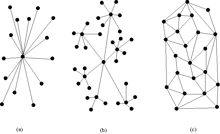 Network Organizational Structures