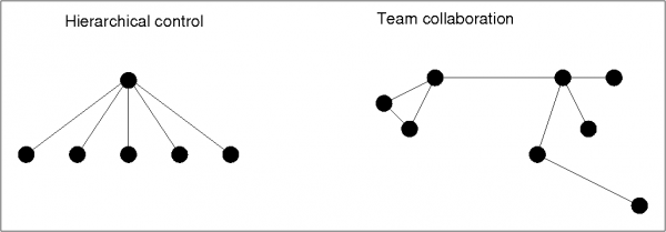 Hierarchy vs Team