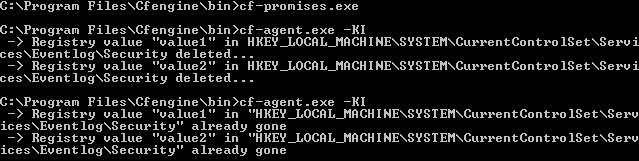 Windows registry delete output
